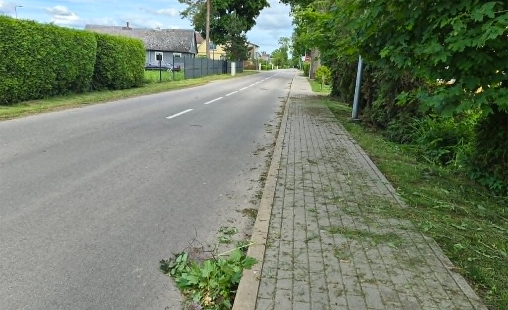 &nbsp;