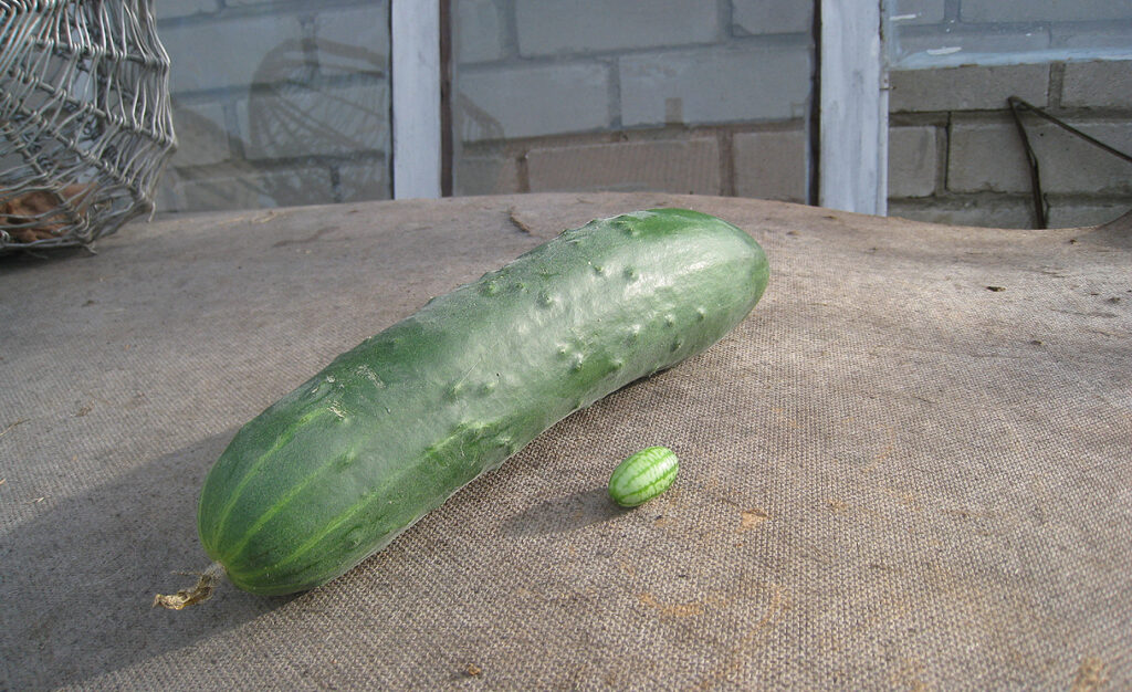 &nbsp;